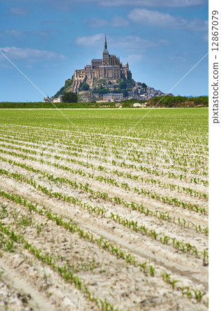 Mont Saint-Michel, Normandy, France 12867079