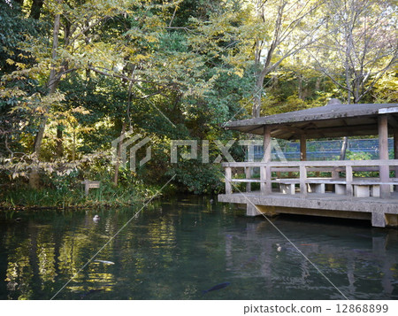 黑川清水公園（Azumaya Pond） 12868899