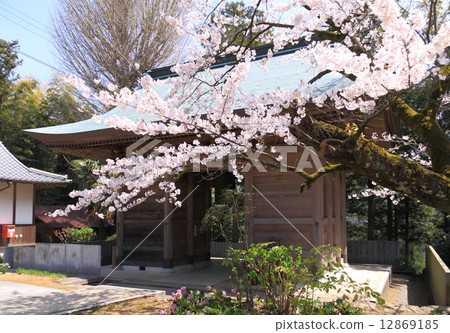 Shikoku Buddhist No. 65 Buddhist Triangle Temple Yammon (Bell tower gate, Nishio gate) Shikoku Buddhist No. 65 Buddhist Triangle Temple Yammon (Bell tower gate, Nishio gate) 12869185