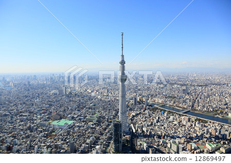 Sky tree aerial photograph 12869497