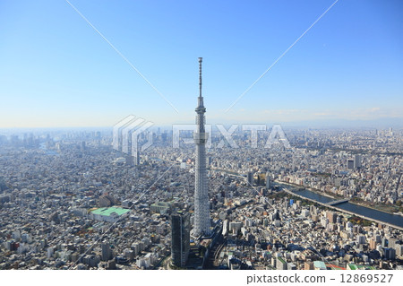 Sky tree aerial photograph 12869527