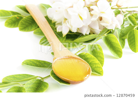 Honey in spoon with acacia flower and leaves Honey in spoon with acacia flower and leaves 12870459