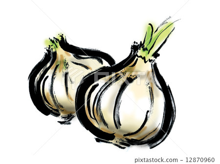 Onion Onion 12870960