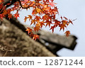 Autumn leaves of Konami River 12871244