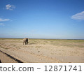Amboseli National Park, Kenya, aloof elephant / An Elephant in Amboseli 12871741