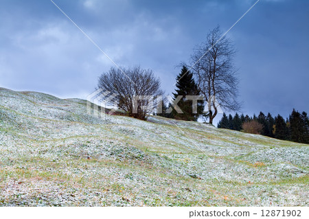 alpine meadows and first snow 12871902