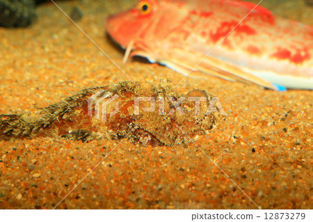 Onii Dalma Okoze Onii Dalma Okoze 12873279