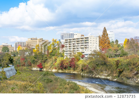 The autumn Hirose River and the whole view of Sendai 12873735