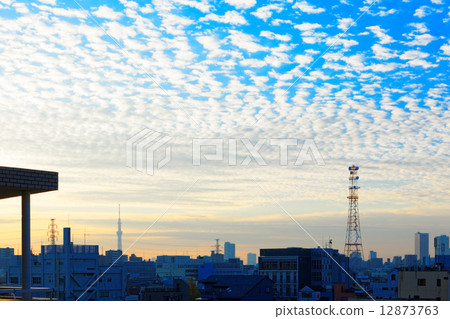 斯卡拉雲在藍天和東京天空樹傳播的清晨市中心 斯卡拉雲在藍天和東京天空樹傳播的清晨市中心 12873763