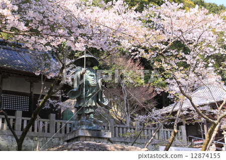 四國神社工廠71號佛教寺院“Yaidaji”盛開的櫻花和Kobo Daishi的雕像 12874155