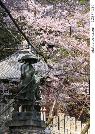 Shikoku Shrine Plant No. 71 Buddhist temple "Yaidaji" Cherry blossoms in full bloom and statue of Kobo Daishi 12874156