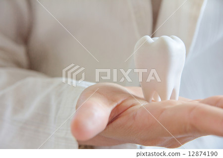 dental concept  12874190