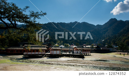 Itsukushima shrine (at low tide) 12874352