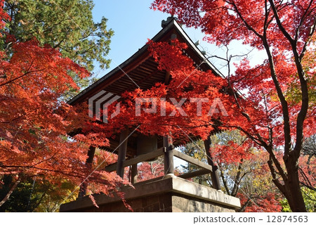 Autumn leaves of Hirin 12874563