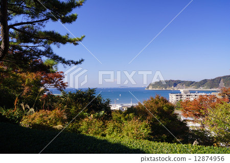 從當地博物館查看 12874956