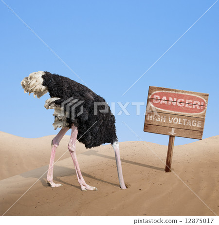 scared ostrich burying head in sand under danger sign 12875017