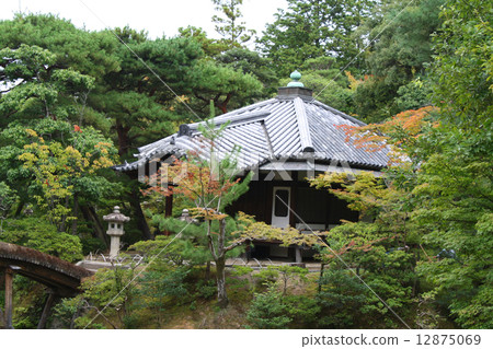 Katsura Ikebukuro forest 12875069