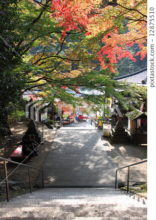 Autumn Shikoku Buddha No. 88 Buddhist temple "Okuboji" Colored leaves in front of Yamen gate (Nimen gate) Autumn Shikoku Buddha No. 88 Buddhist temple "Okuboji" Colored leaves in front of Yamen gate (Nimen gate) 12875510