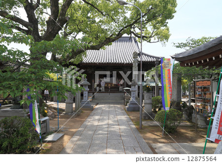 Shikoku Buddha 83rd Ticket gate "Ichinomiya" Main Hall 12875564