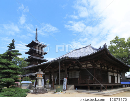 Shikoku Buddha No. 70 Buddhist temple "main shrine" five-storied pagoda and national treasure main hall 12875570