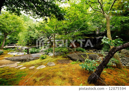 Yushima Tenjin garden in Bunkyo ku Tokyo (Yushima Tenmangu Shrine) 12875594