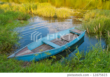 Boat in a grass 12875615