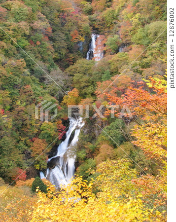 Foggy Waterfall - Atumn @ Nikko Kirin Kogen 12876002