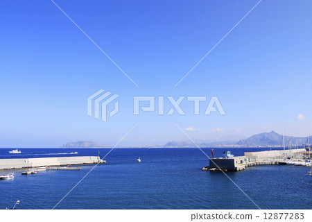 Palermo palermo Palermo palermo 12877283