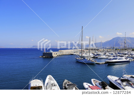 Palermo palermo Palermo palermo 12877284
