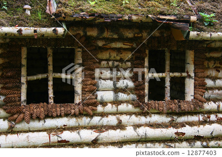 Wall with window 12877403