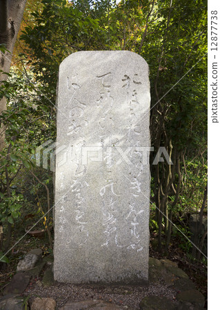 秋天風景奈良寺 12877738