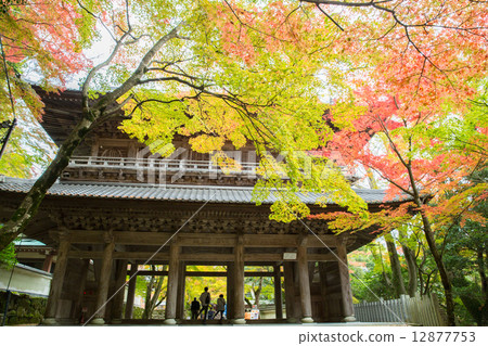 Autumn leaves of Eikenji 12877753