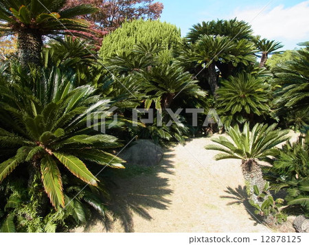 Saotetsu Garden (Kobe Eigakuen) 12878125