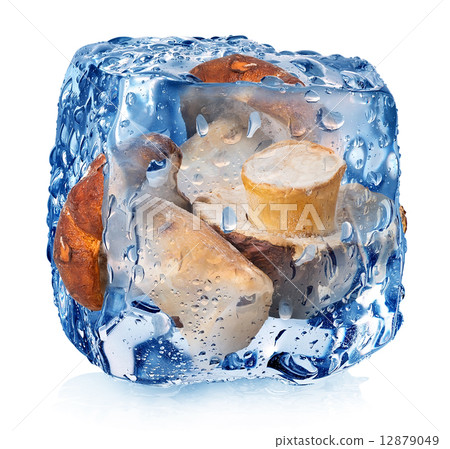 Mushrooms in ice cube 12879049