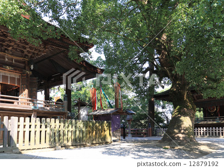 Shrine of Kompira-san Shrine, Kamiki, Kagura-densa (October 10) 12879192