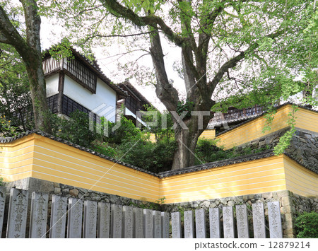 Kompira-san Shrine, Yuichi Takahashi Fence near the watchtower, five white lines in yellow are said to represent the highest-ranked temple 12879214