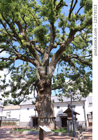 "Kinryurin no Sato" (Omotesando entrance entrance) which is said to be the power spot of Kinrira 12879313