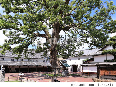 "Kinryurin no Sato" (Omotesando entrance entrance) which is said to be the power spot of Kinrira 12879314