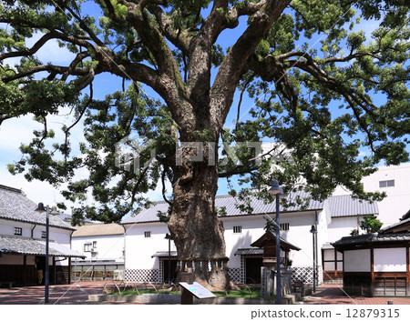 "Kinryurin no Sato" (Omotesando entrance entrance) which is said to be the power spot of Kinrira 12879315