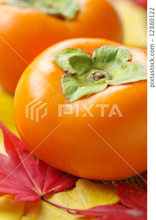 Fuyu Kei Fuyu Kei 12880122