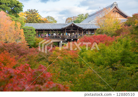 Autumn leaves of Tofukuji 12880510