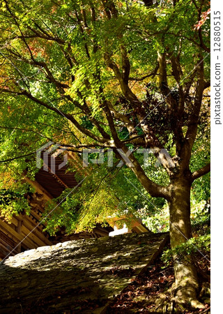 Chokenji Temple Chokenji Temple 12880515