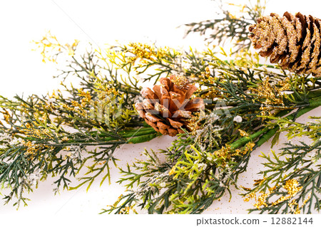 Christmas tree branch Christmas tree branch 12882144