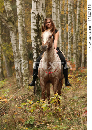 Pretty young girl riding a horse without any equipment in autumn Pretty young girl riding a horse without any equipment in autumn 12882356