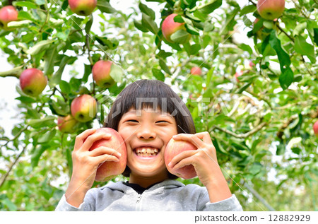 喜歡蘋果狩獵的女孩 喜歡蘋果狩獵的女孩 12882929