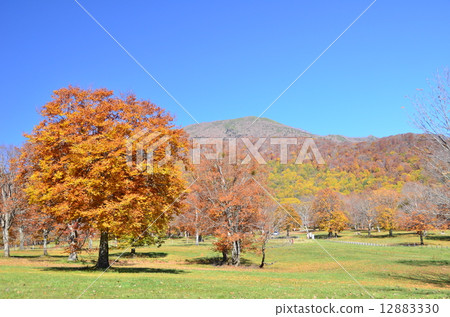 Sasagamine Peak (Niigata Prefecture Myoko City) 12883330
