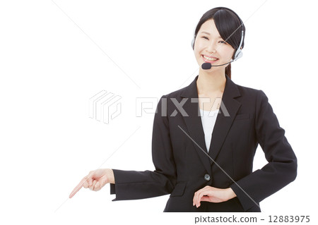 Pointing operator 12883975