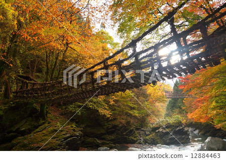 德島縣：Iya的Kazura Bridge 12884463