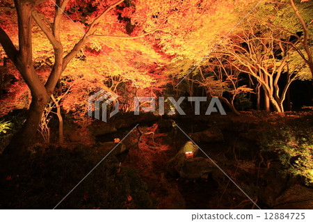 科樂美河的秋葉照亮了 12884725