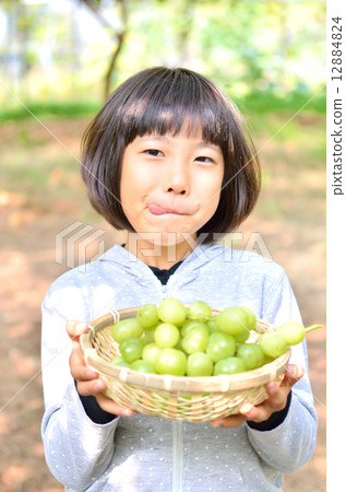 女孩享受葡萄狩獵 12884824